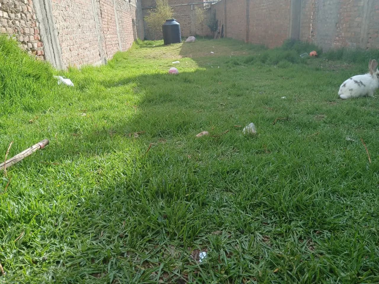 Foto Propiedad 2